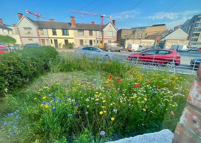 Double In Homestay szállás Dublin