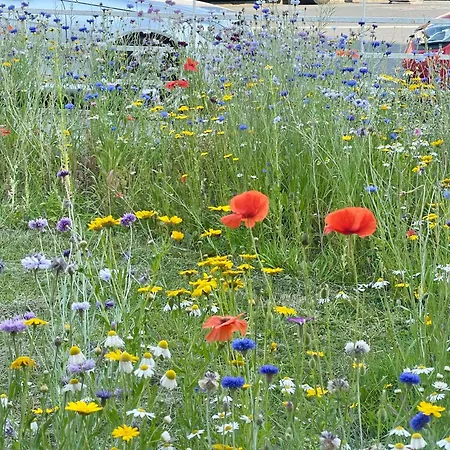 Accommodatie bij particulieren Double In