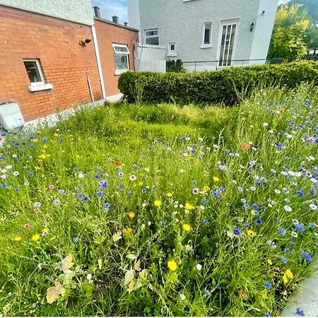 Accommodatie bij particulieren Double In *