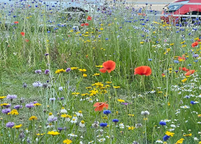 Privat bolig Double In